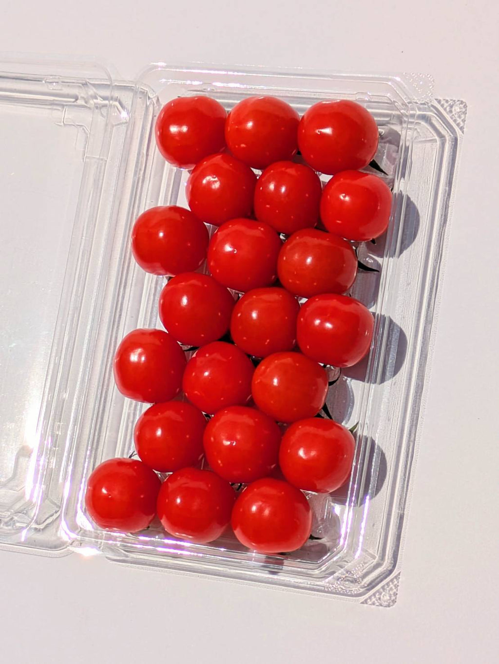 プチぷよ大パック×4Pack