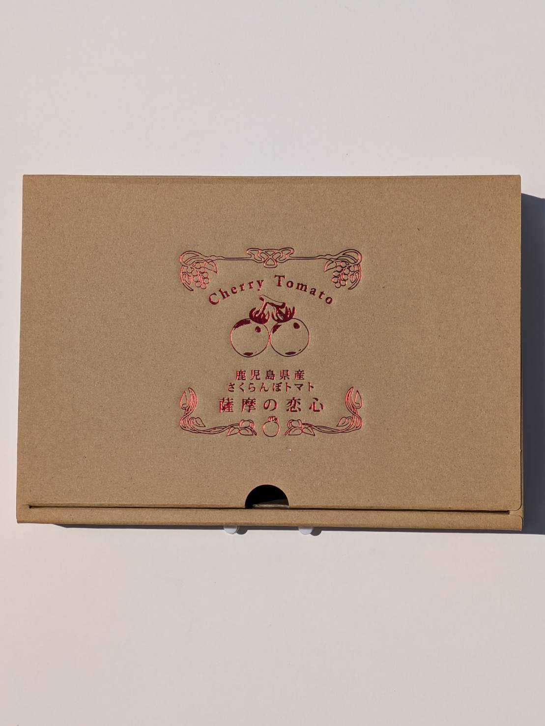 プチぷよ化粧箱（茶）