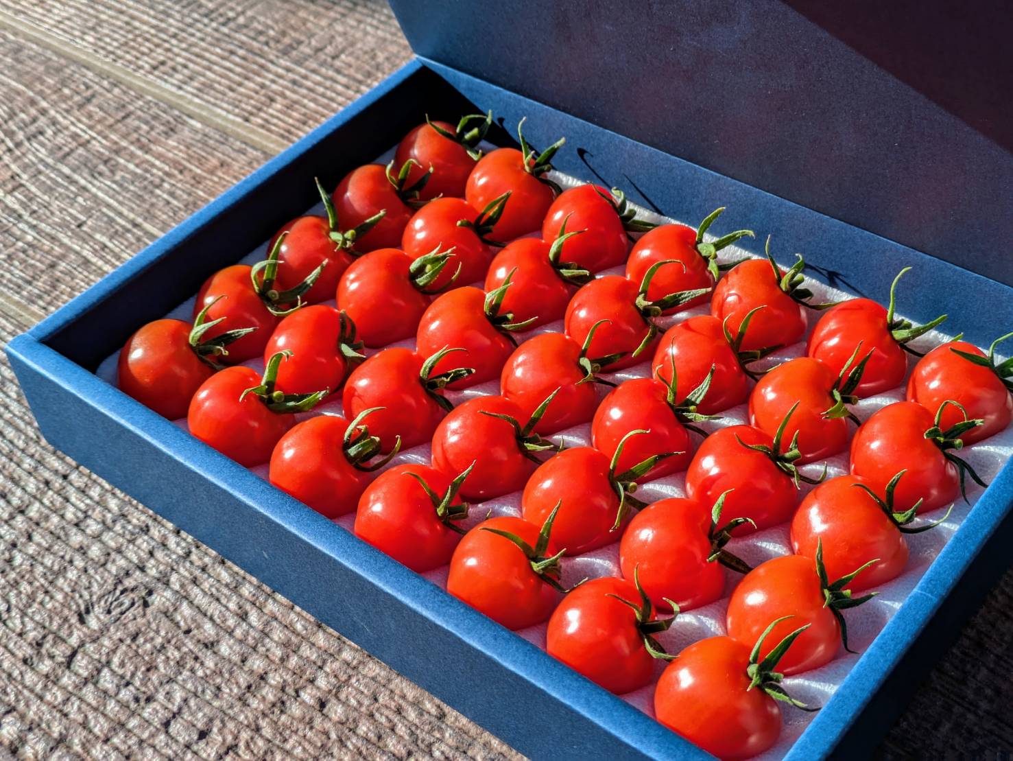 プチぷよ化粧箱（青）